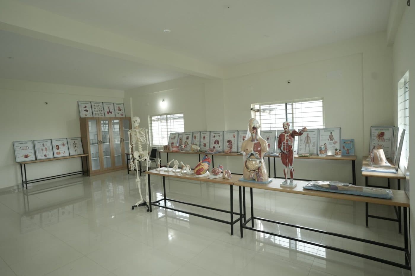 Anatomy laboratory with articulated skeleton and organ models